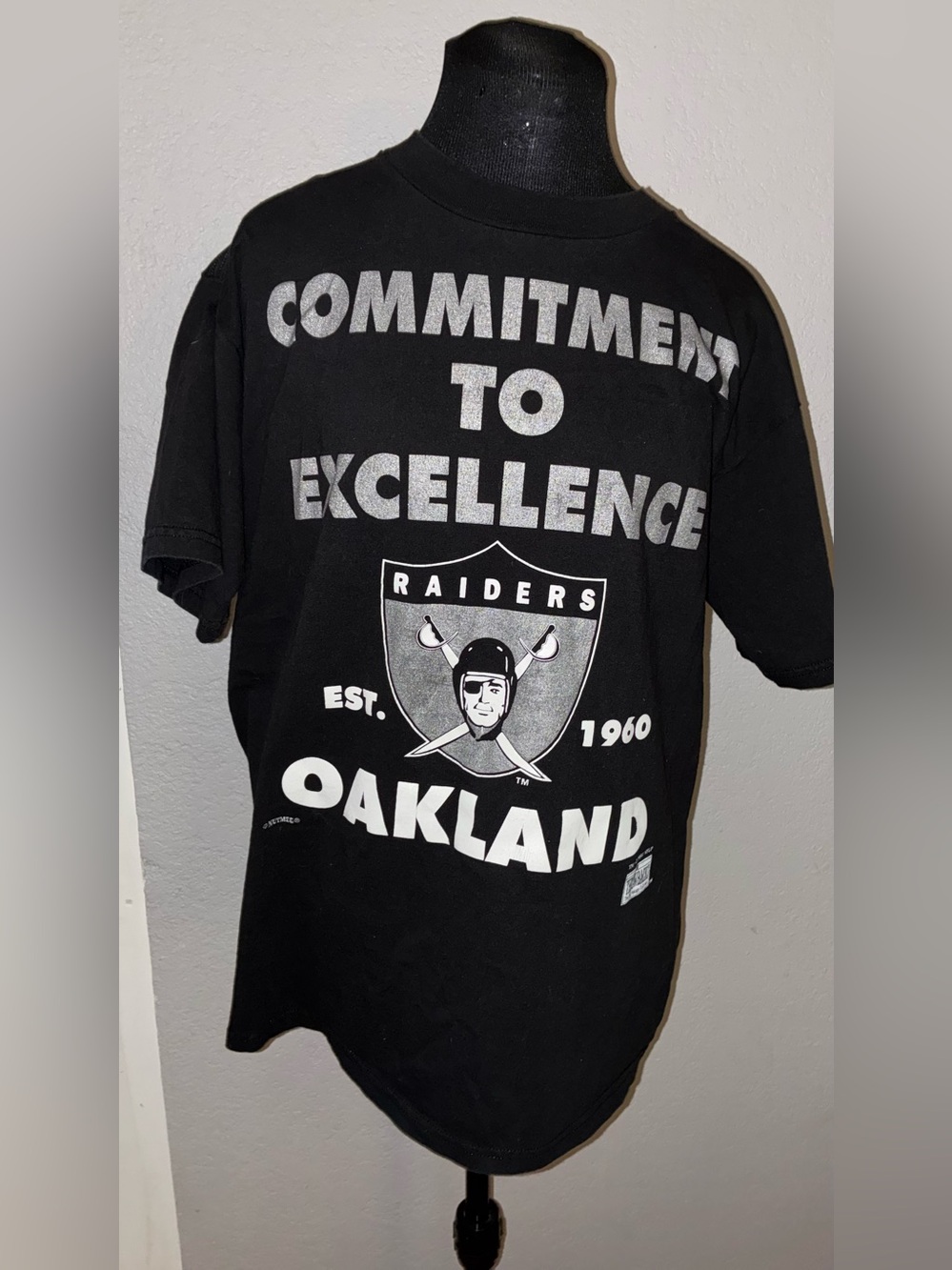 Vintage Nutmeg Mills Throwbacks 1995 Oakland Raiders Tshirt Team NFL XL USA Made
